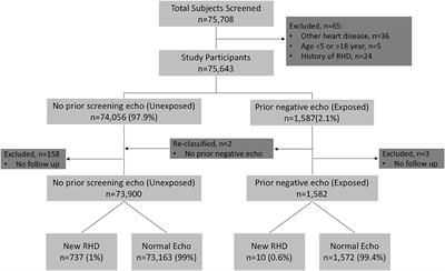 Determining the Risk of Developing Rheumatic Heart Disease Following a Negative Screening Echocardiogram